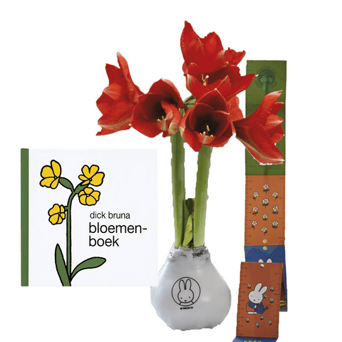 Nijntje: Amaryllis Waxbol - Rood met bloemenboek van Dick Bruna